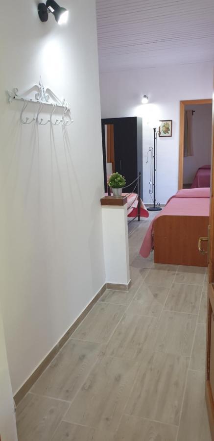 Casa Vacanza Etna Evergreen Vila Piedimonte Etneo Exterior foto