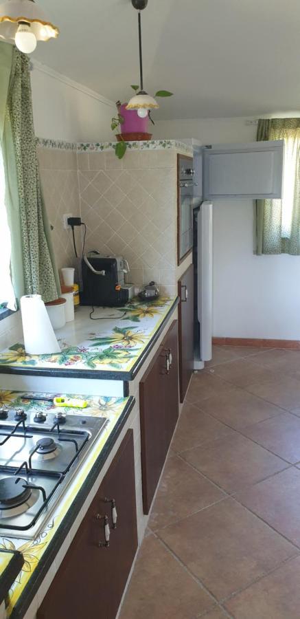Casa Vacanza Etna Evergreen Vila Piedimonte Etneo Exterior foto