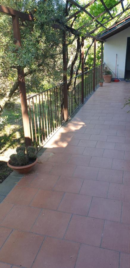 Casa Vacanza Etna Evergreen Vila Piedimonte Etneo Exterior foto