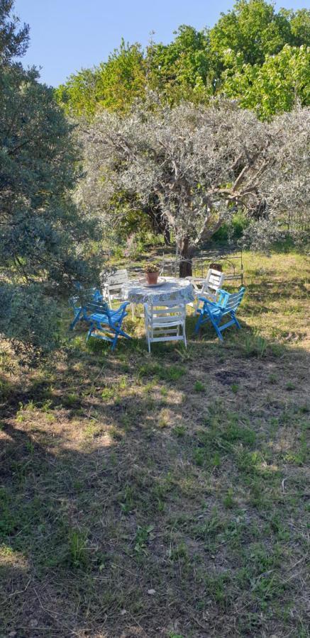 Casa Vacanza Etna Evergreen Vila Piedimonte Etneo Exterior foto