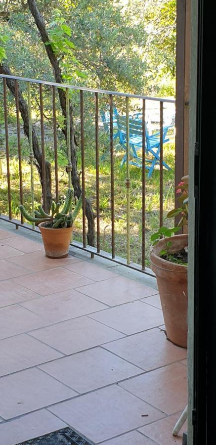 Casa Vacanza Etna Evergreen Vila Piedimonte Etneo Exterior foto