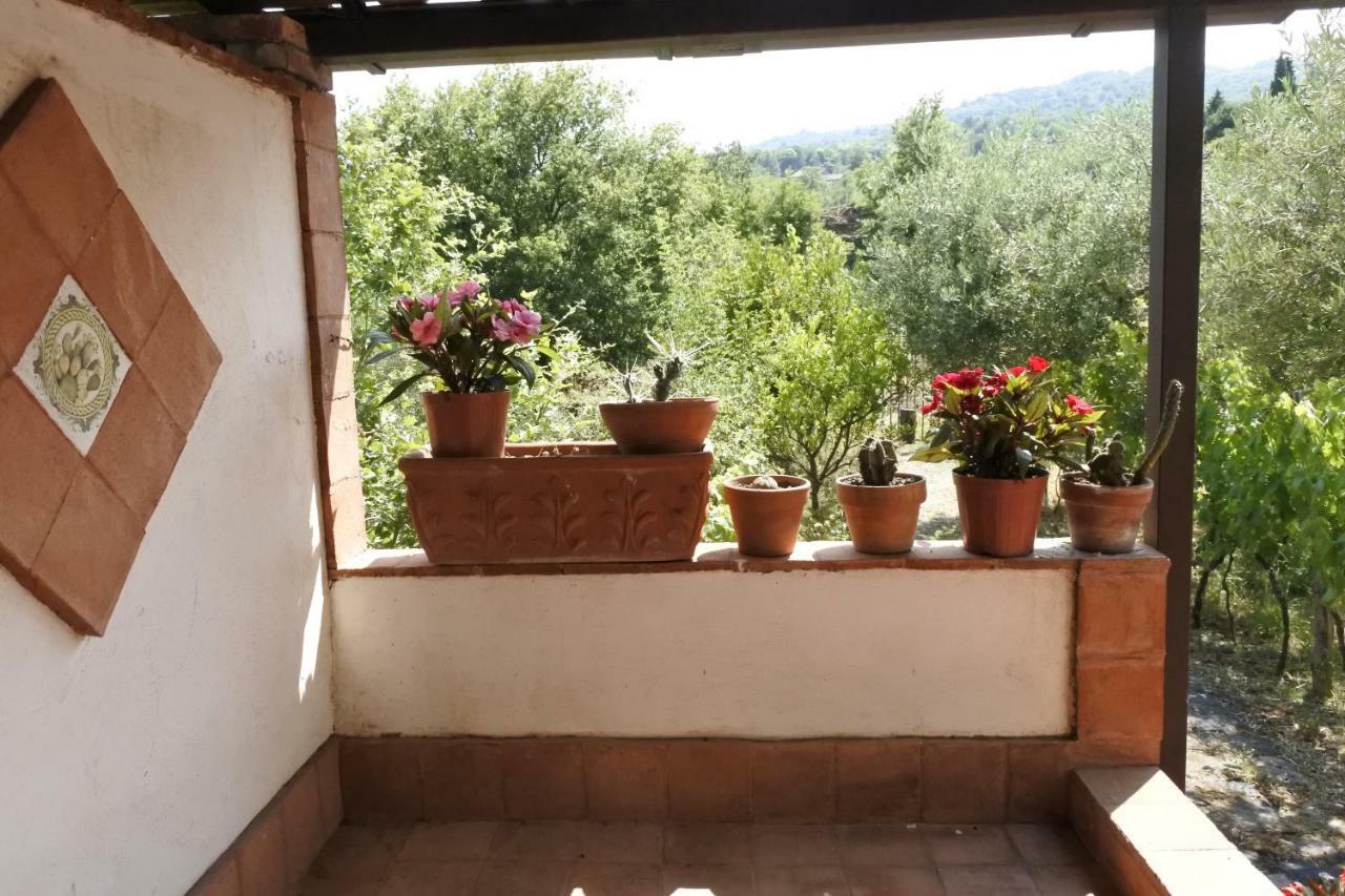 Casa Vacanza Etna Evergreen Vila Piedimonte Etneo Exterior foto