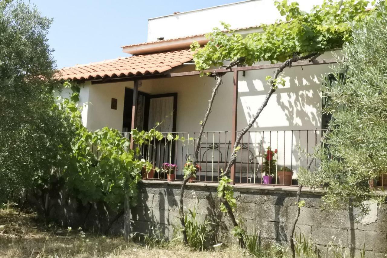 Casa Vacanza Etna Evergreen Vila Piedimonte Etneo Exterior foto